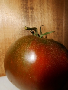 Changing Tomato 1