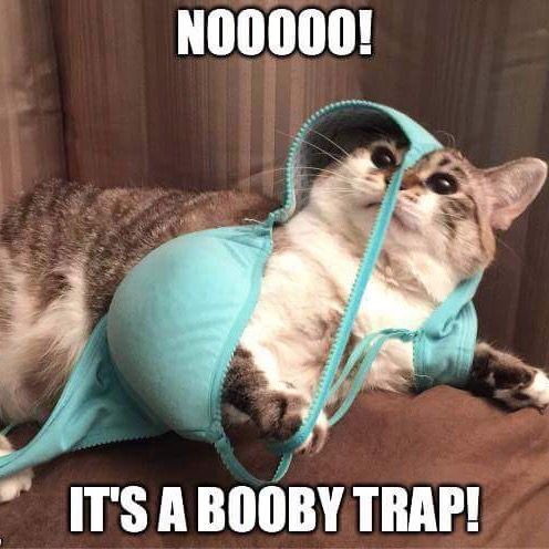 Trapped in bra